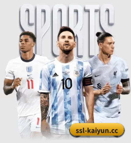 五大服务分区,信息按项目分类