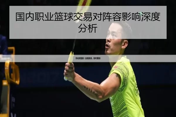 国内职业篮球交易对阵容影响深度分析